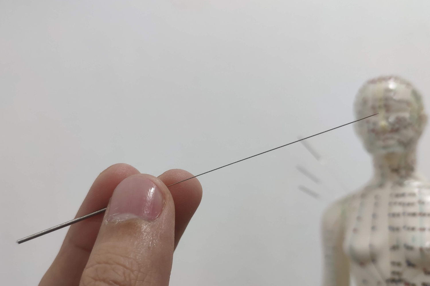 Untitled design (15)